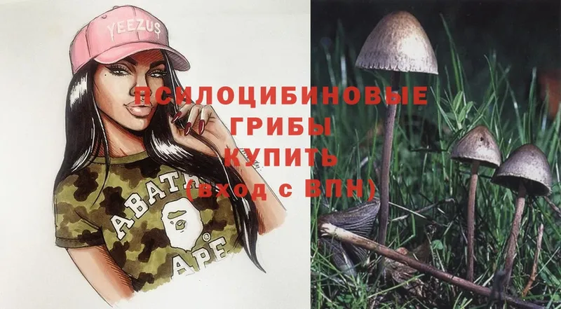 Галлюциногенные грибы Cubensis  Кизел 